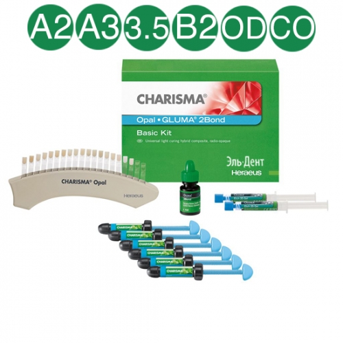 Charisma Opal  Basic Kit (6+ Gluma Bond), Kulzer