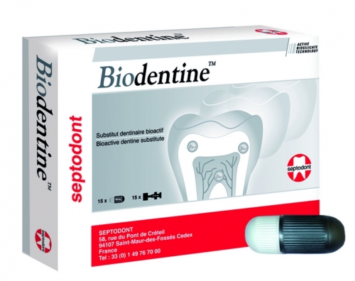 Biodentine (15 . +15 . .). 