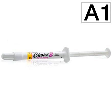 Choice 2 Try-in Paste A1 ( 2 )- , Bisco