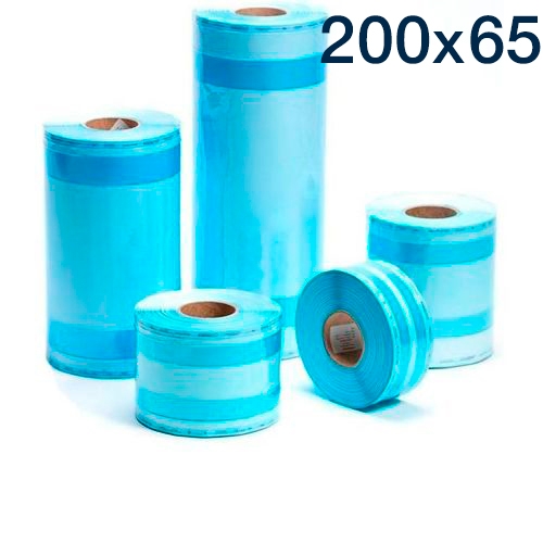      20065/100 