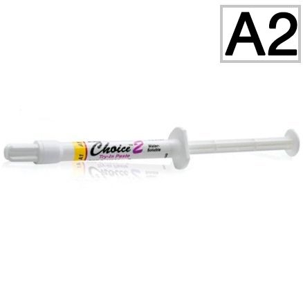Choice 2 Try-in Paste A2 ( 2 )- , Bisco
