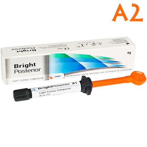 Bright Posterior .2 . 4-  
