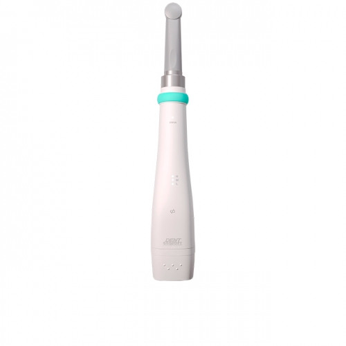  Estus Light     , 