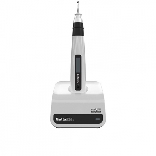 GuttaEst 02-      ,    