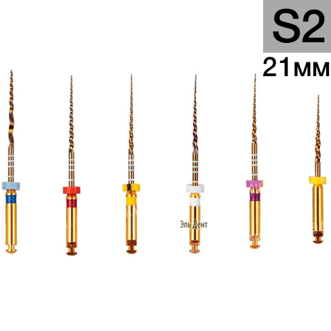 Gold-Tper S2, 21 (6.)-     , 